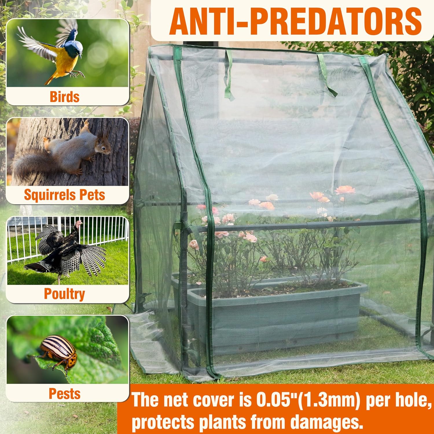 Gardzen Mini Greenhouse with Zipper Mesh Cover 36.2"(L) x36.2(W) x42.5(H) | Steel Frame Portable Outdoor Greenhouse