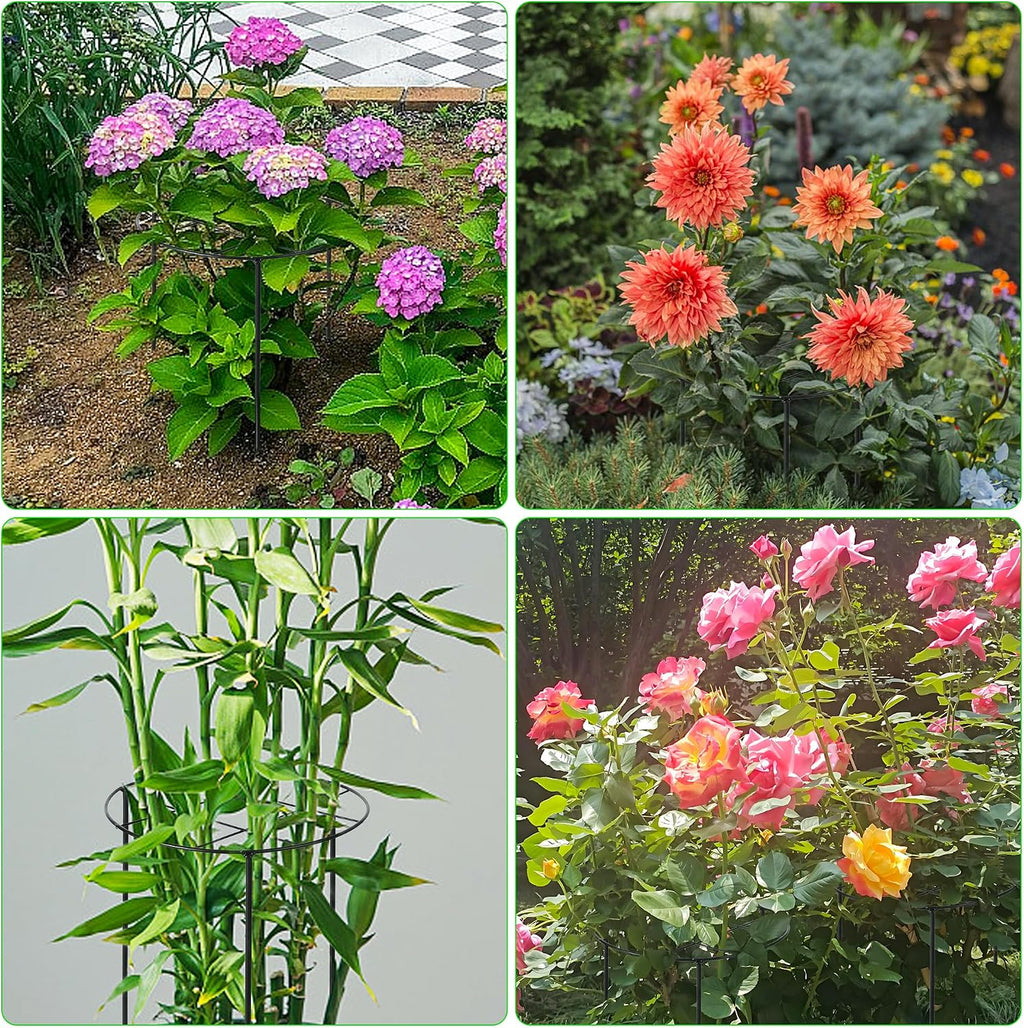 Peony Cages and Supports, 31.5"H x 12.6"D Plant Supports for Outdoor Plants | Large Peony Support Cages, 7mm Heavy Duty