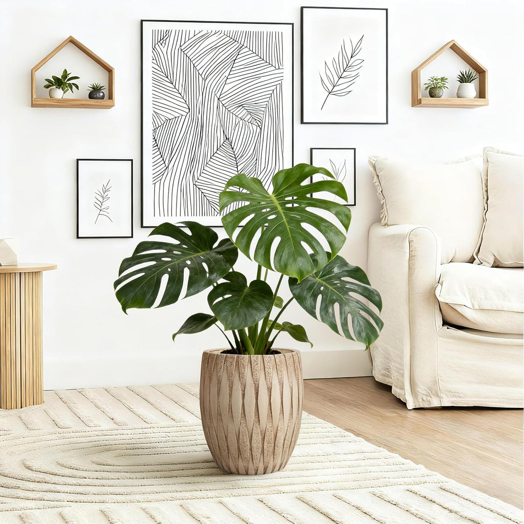 12" H x 9" Dia Weathered Concrete Planter, Large Indoor Outdoor Decorative Flower Pot with Drainage Hole, Modern Round