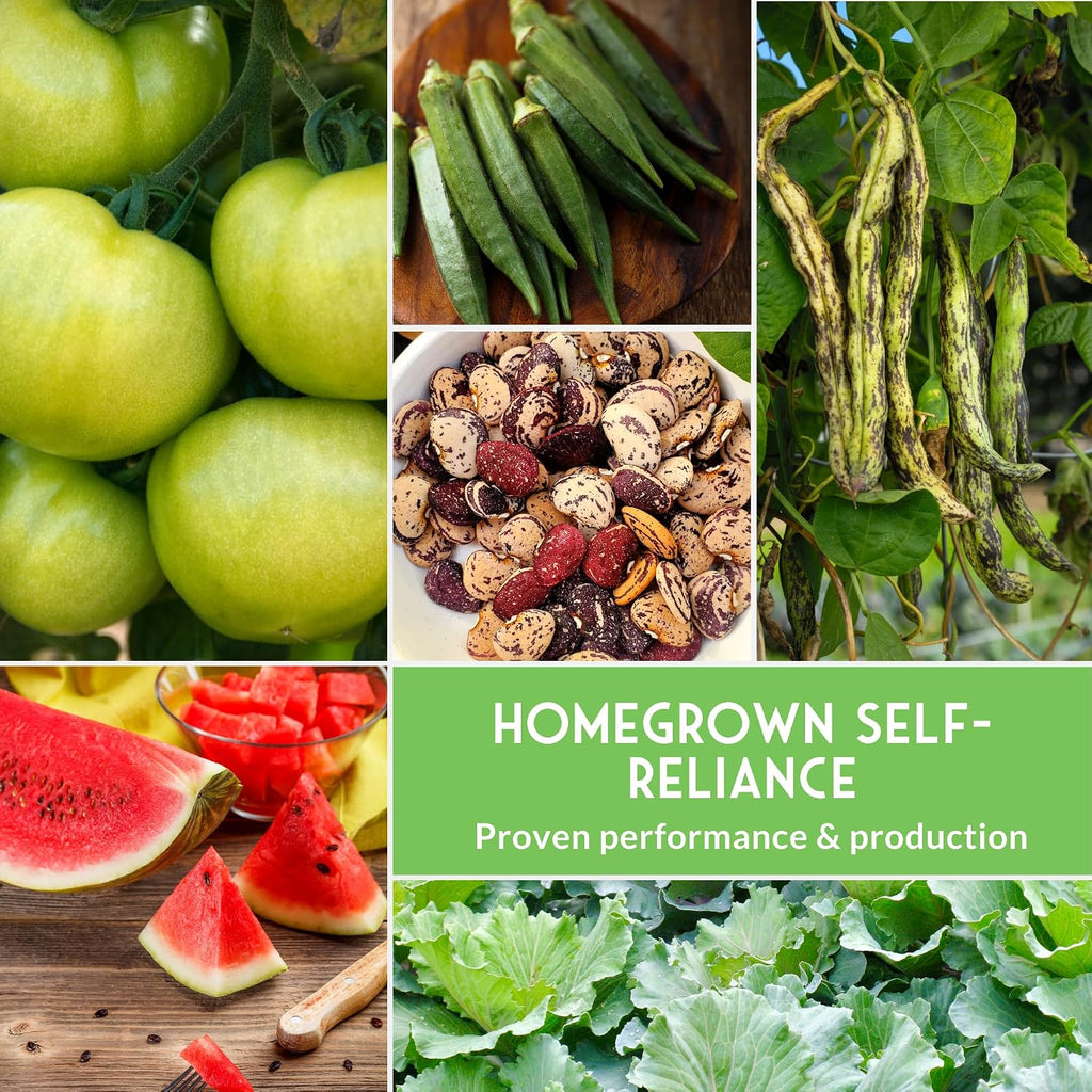 Southern Vegetable Seeds Collection for Planting | 15 Heirloom Heat-Loving Varieties, Okra, Collard Greens, Purple Hull