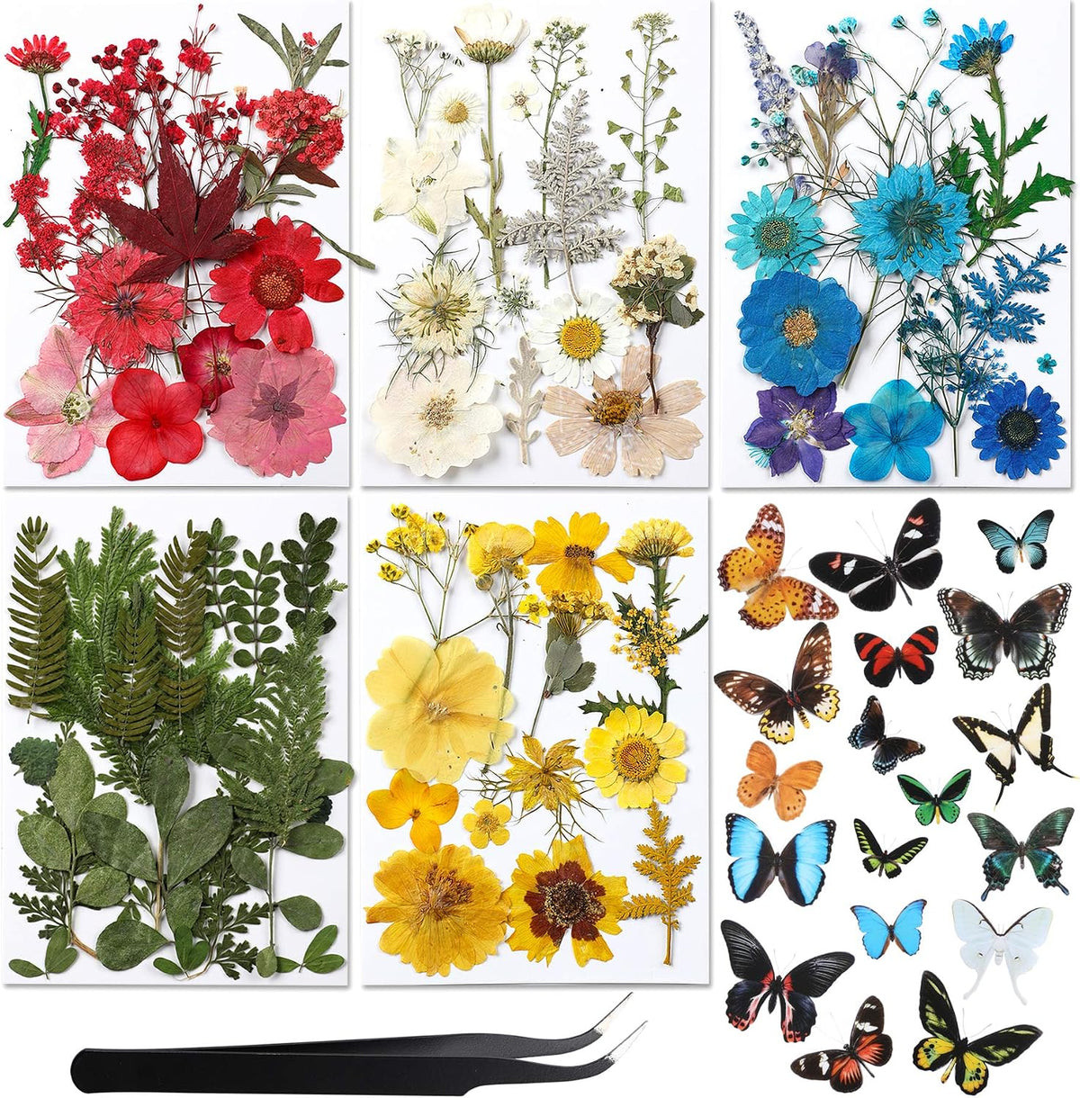 Augshy Real Dried Pressed Flower Set with Butterfly Transparent Stickers Scrapbook Decals Natural Dried Flowers Leaves with Tweezers for Resin Supplies DIY Candle Jewellery Making