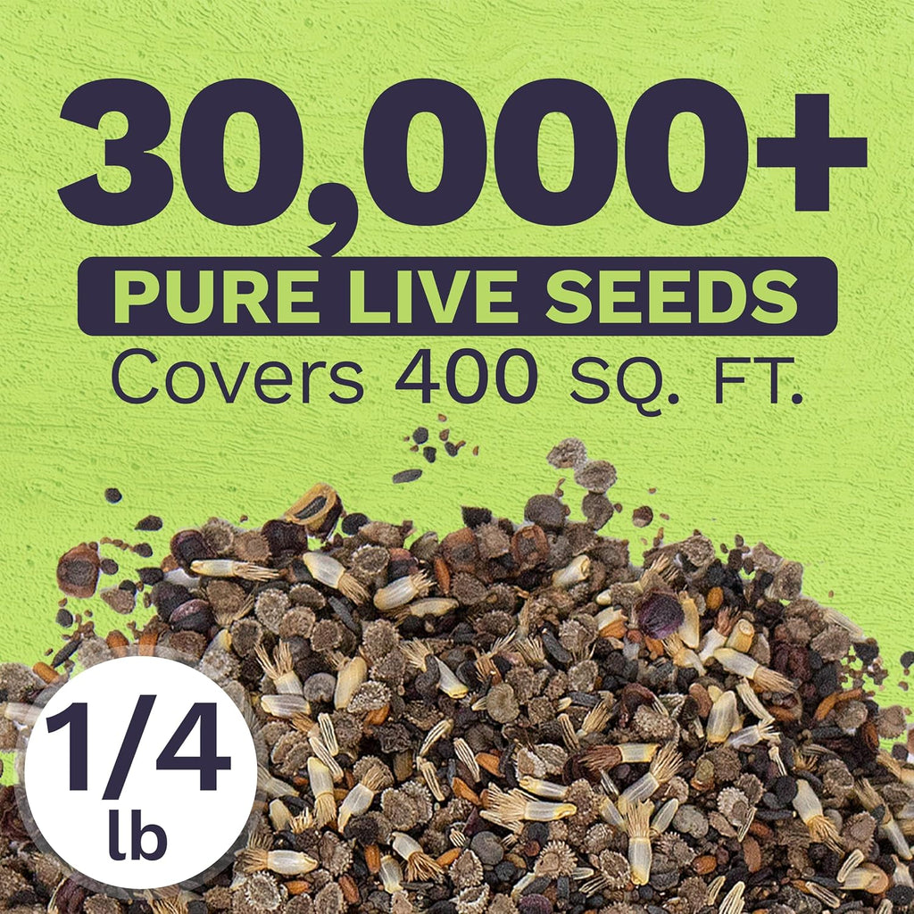 Bulk Wildflower Seeds Partial Shade Mix - 1/4 Pound Bag Over 30,000 Open Pollinated Annual and Perennial Seeds