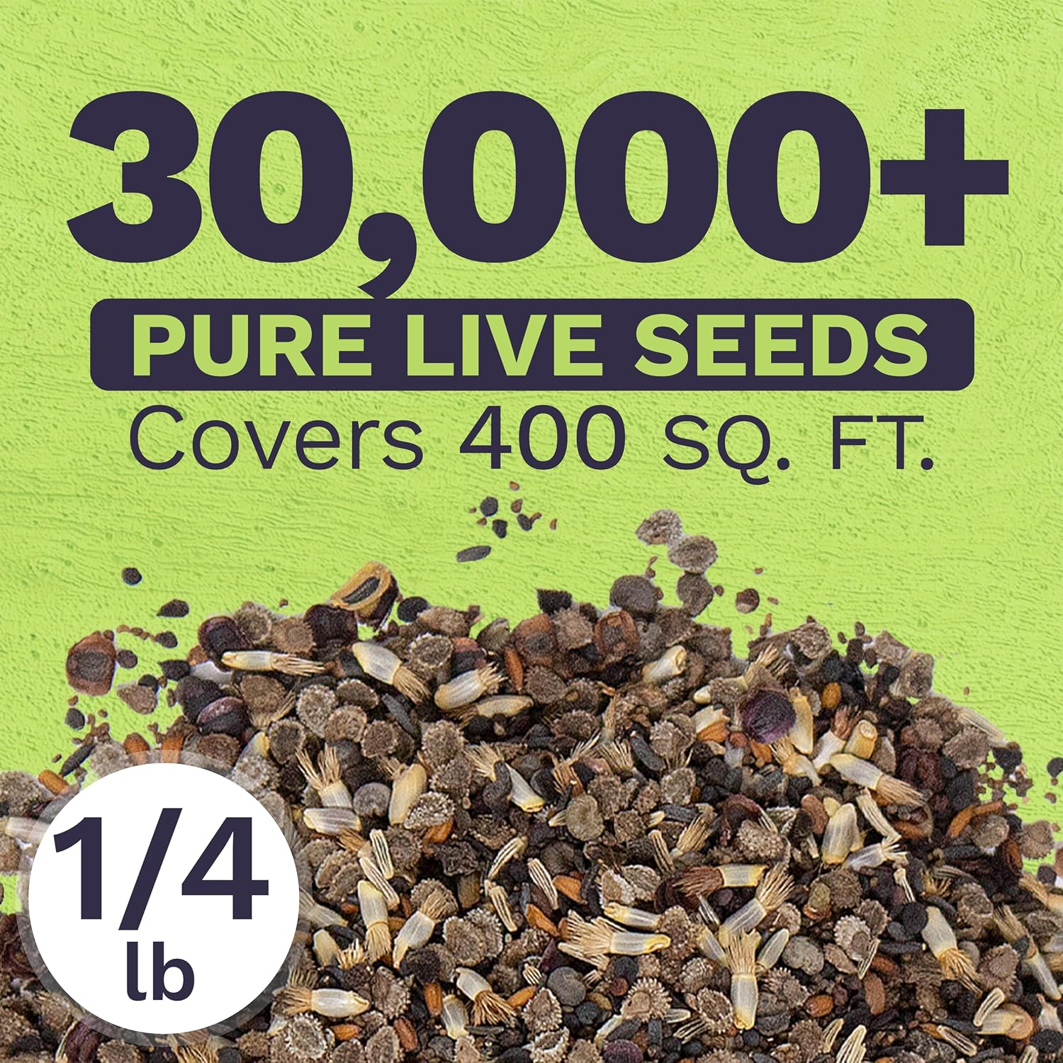 Bulk Wildflower Seeds Partial Shade Mix - 1/4 Pound Bag Over 30,000 Open Pollinated Annual and Perennial Seeds