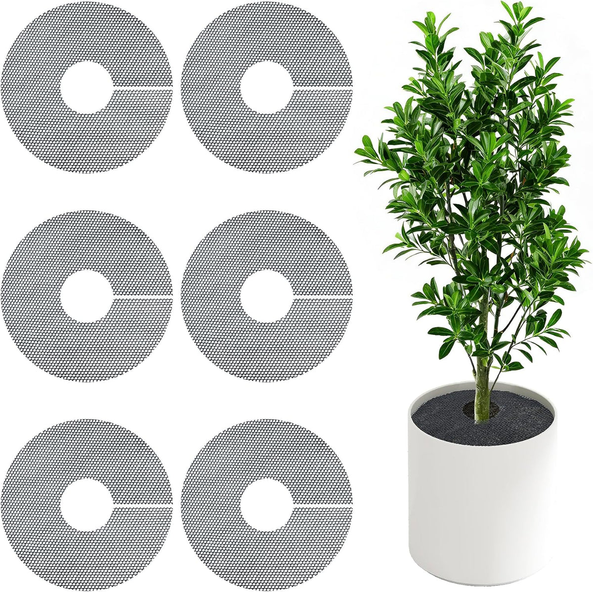 Cone Flower Pot Mesh Pad, 74mm, 10 Pcs