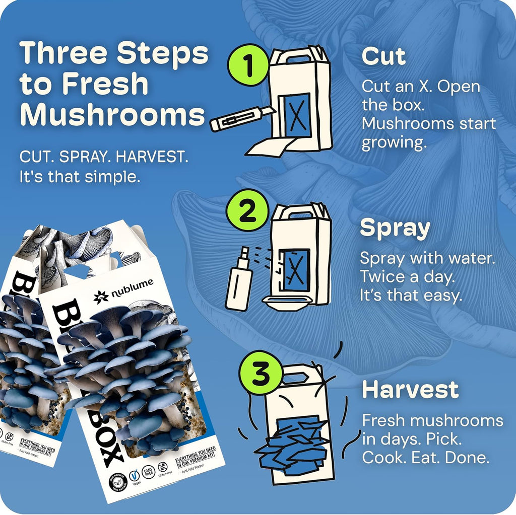 BloomBox Blue Oyster Mushroom Grow Kit – Spray & Grow – Pre-Inoculated Indoor Mushroom Farm – Beginner Friendly –