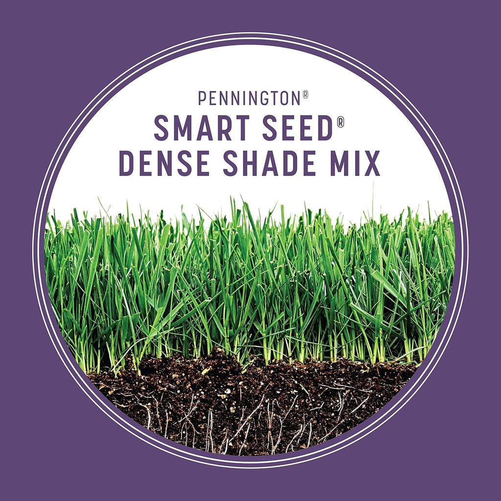 Pennington Smart Seed Dense Shade Mix, Grass Seeds for Lawn, 4/7 lb