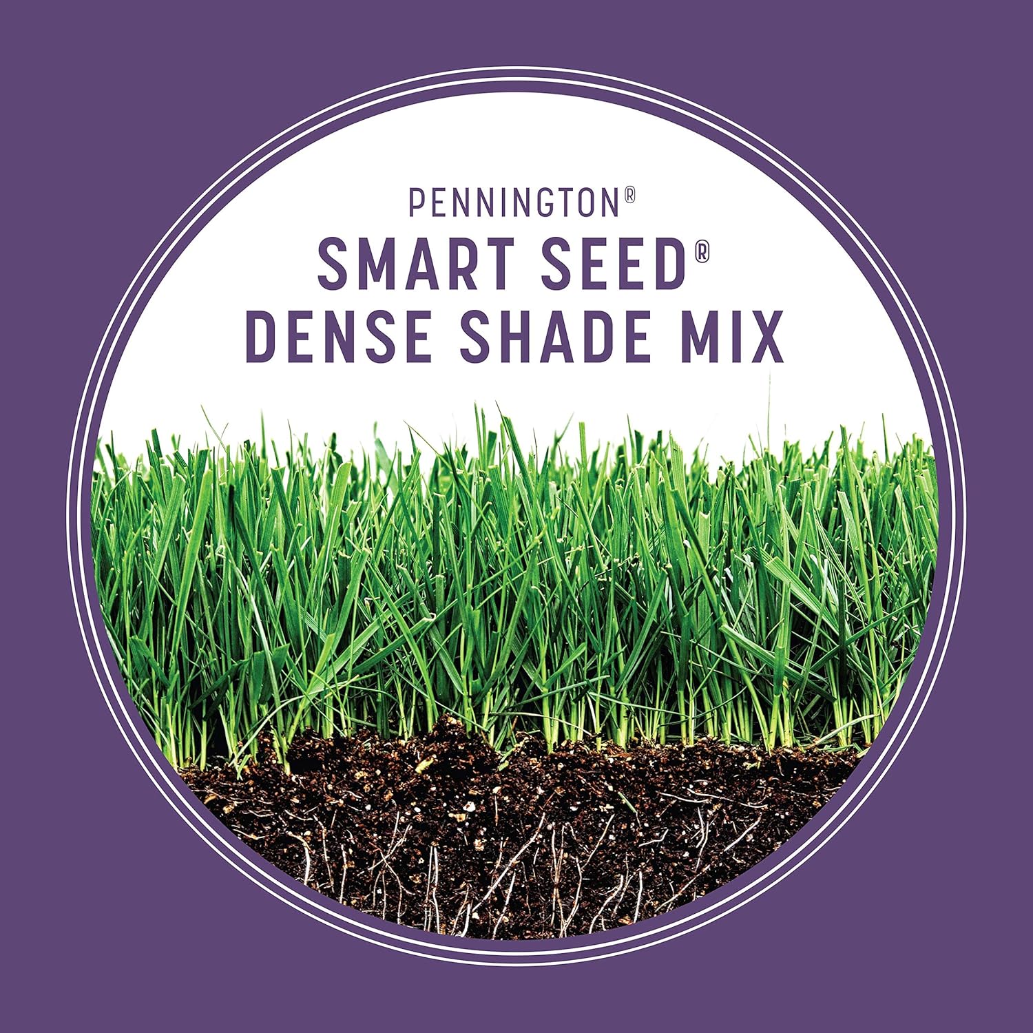 Pennington Smart Seed Dense Shade Mix, Grass Seeds for Lawn, 4/7 lb