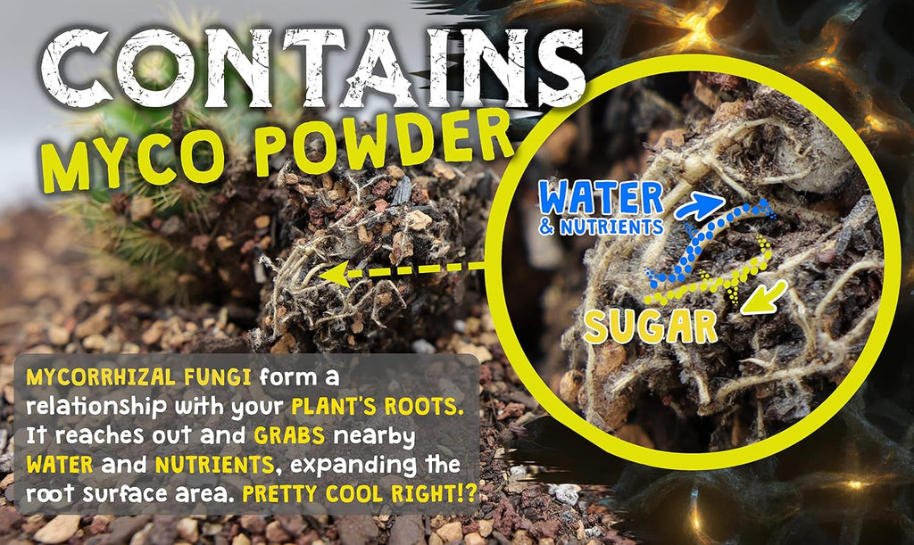 High Drainage Cactus Soil Potting Mix with Mycorrhizal Fungi - 8 Pounds / 4 Quarts of Soil for Succulents and Cactus