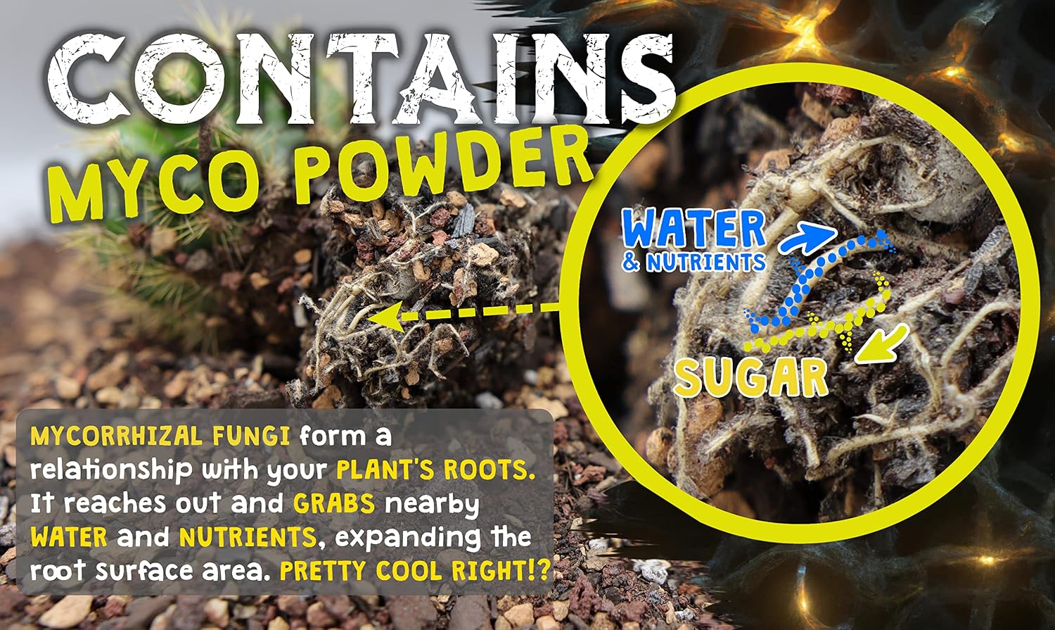 High Drainage Cactus Soil Potting Mix with Mycorrhizal Fungi - 8 Pounds / 4 Quarts of Soil for Succulents and Cactus