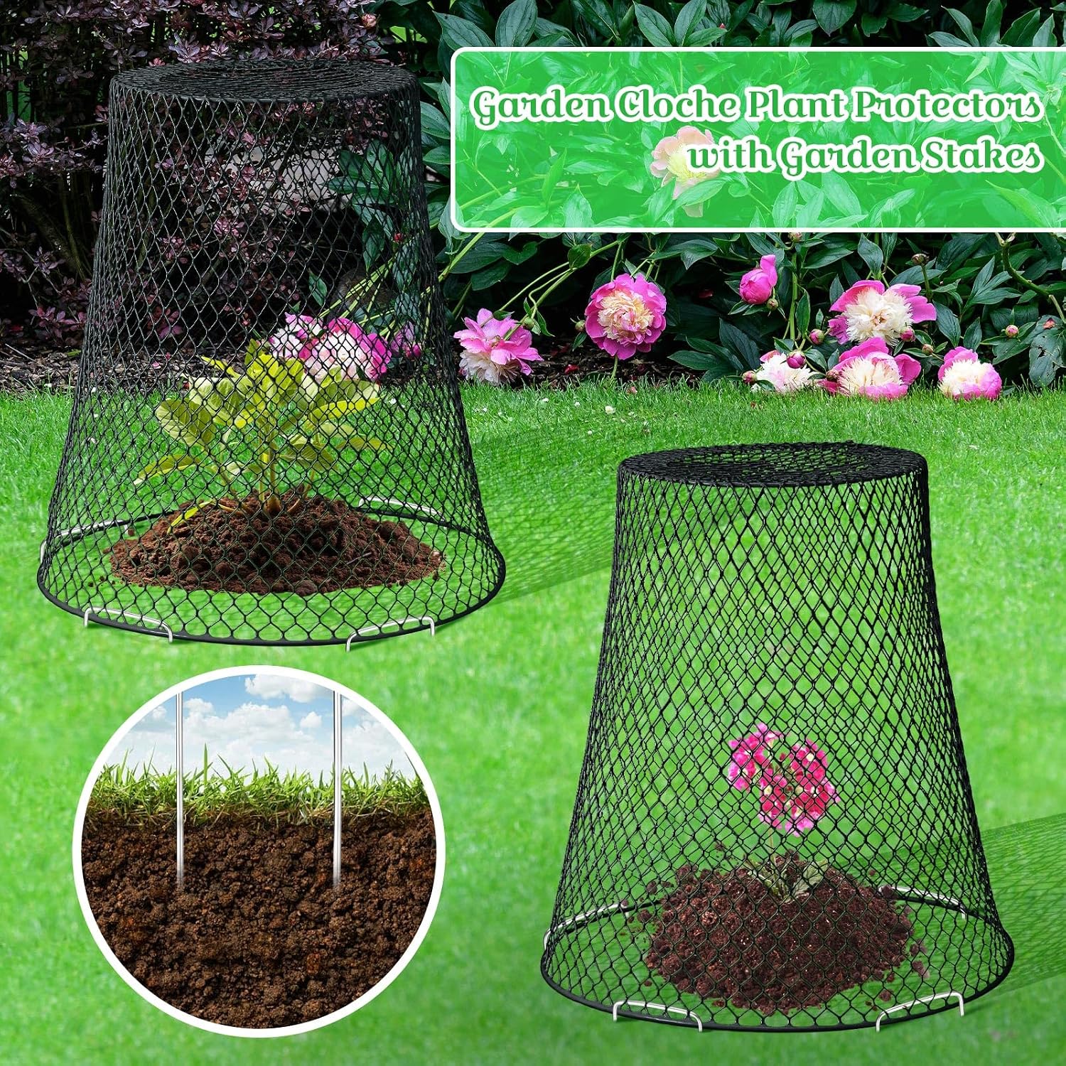 Therwen 15 Pcs Large Plant Wire Cloche 11 x 12 Inch Metal Garden Cloche with Garden Stakes Plant Protector from Animals