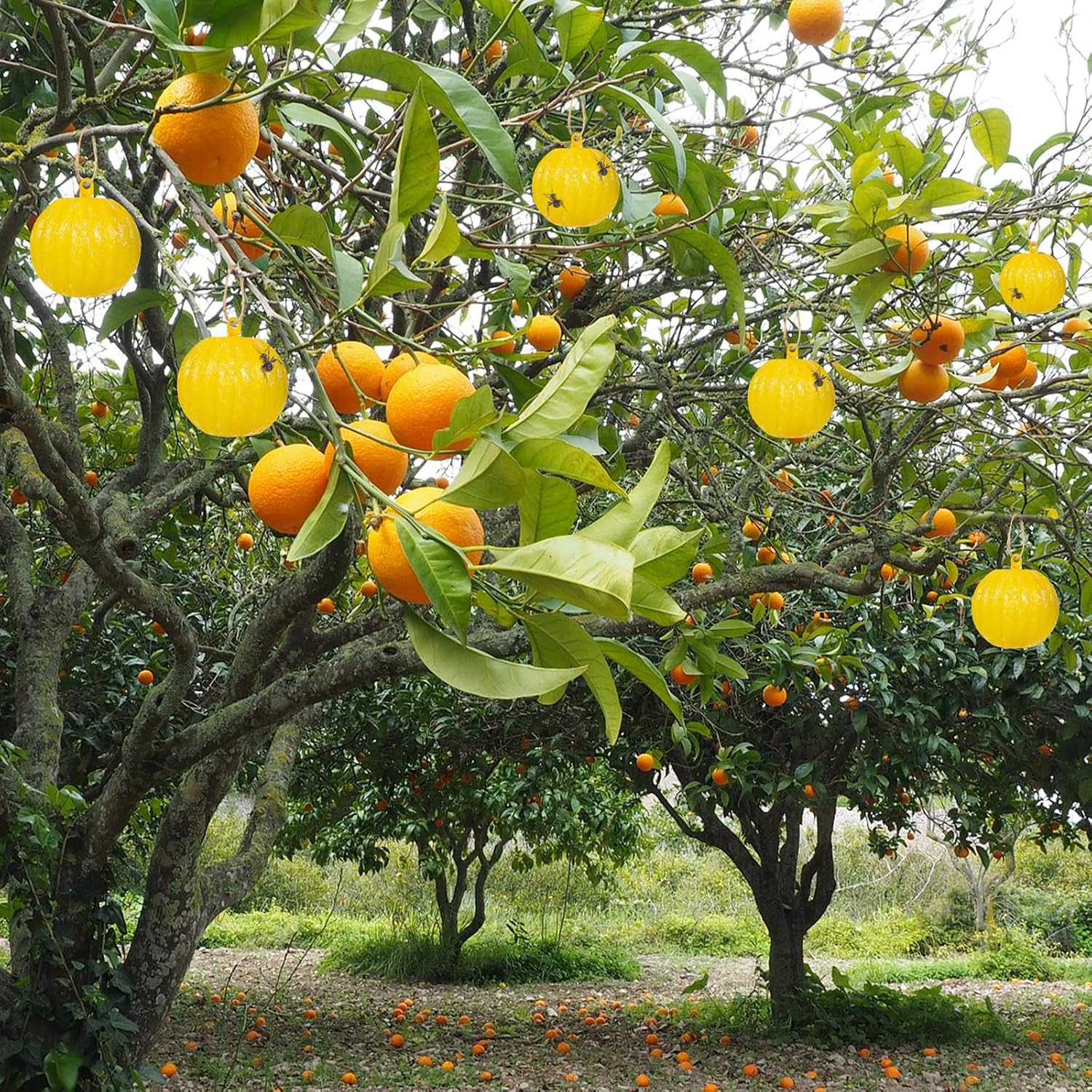 Qualirey 10 Set Sticky Fruit Fly Trap Balls Yellow Adhesive Fungus Gnat Sticky Balls for Plants Fly Catching Sticky