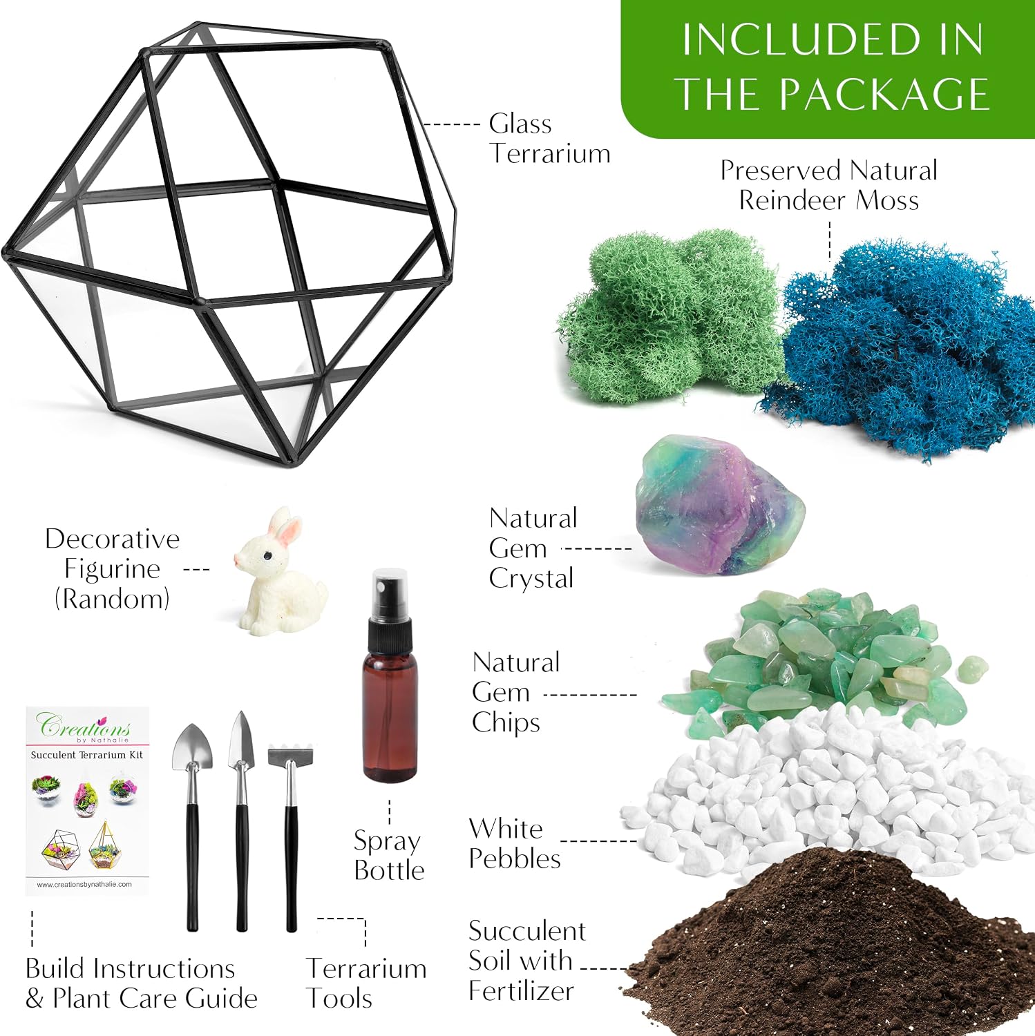 Creations by Nathalie DIY 7" Chalice Glass Terrarium Kit with Moss & Tools | DIY geometric glass terrarium kit with
