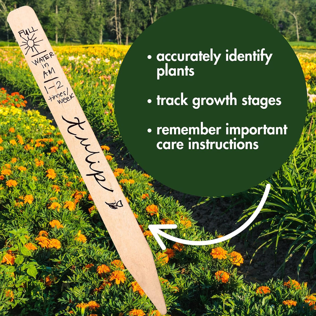 100% Natural Wood Plant Markers - 12 Inches Tall - for Field and Garden Use - Eco-Friendly & Sustainable Plant