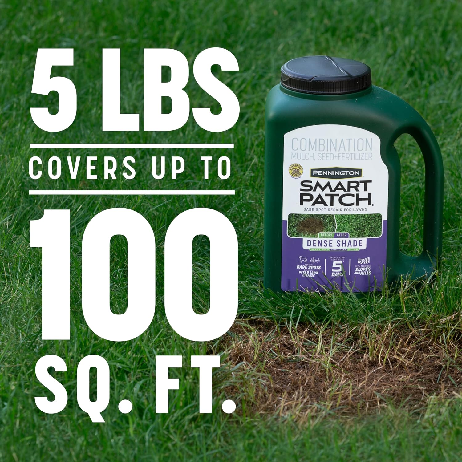 Pennington Smart Patch Dense Shade Grass Seed 5 LB