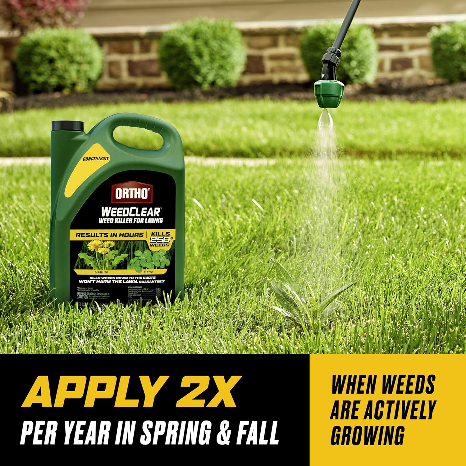 Ortho WeedClear Weed Killer for Lawns Concentrate, 1 gal. | Weed Killer Concentrate, Won't Harm Grass When Used as
