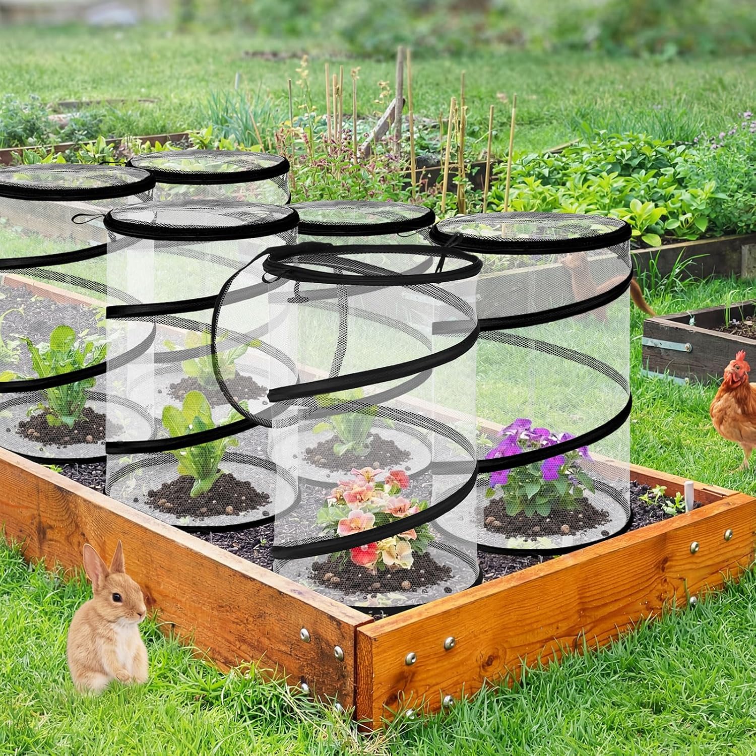 8 Pop up Mesh Plant Protectors from Animals Round Plant Netting Pest Cover Each Set with Stakes and Storage Bag for