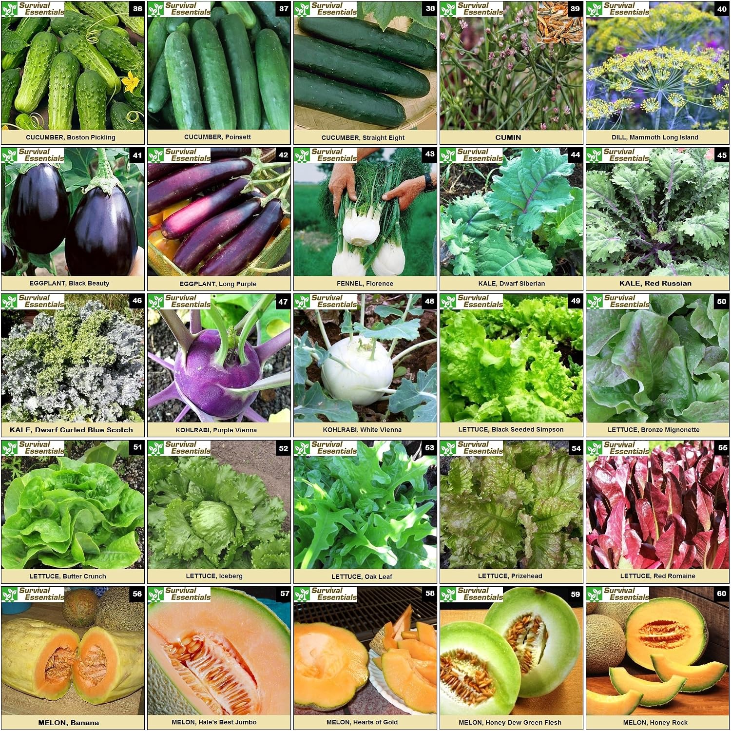 Heirloom Seeds for Planting Vegetables and Fruits - Survival Essentials 135 Variety Seed Vault - Medicinal Herb Seeds