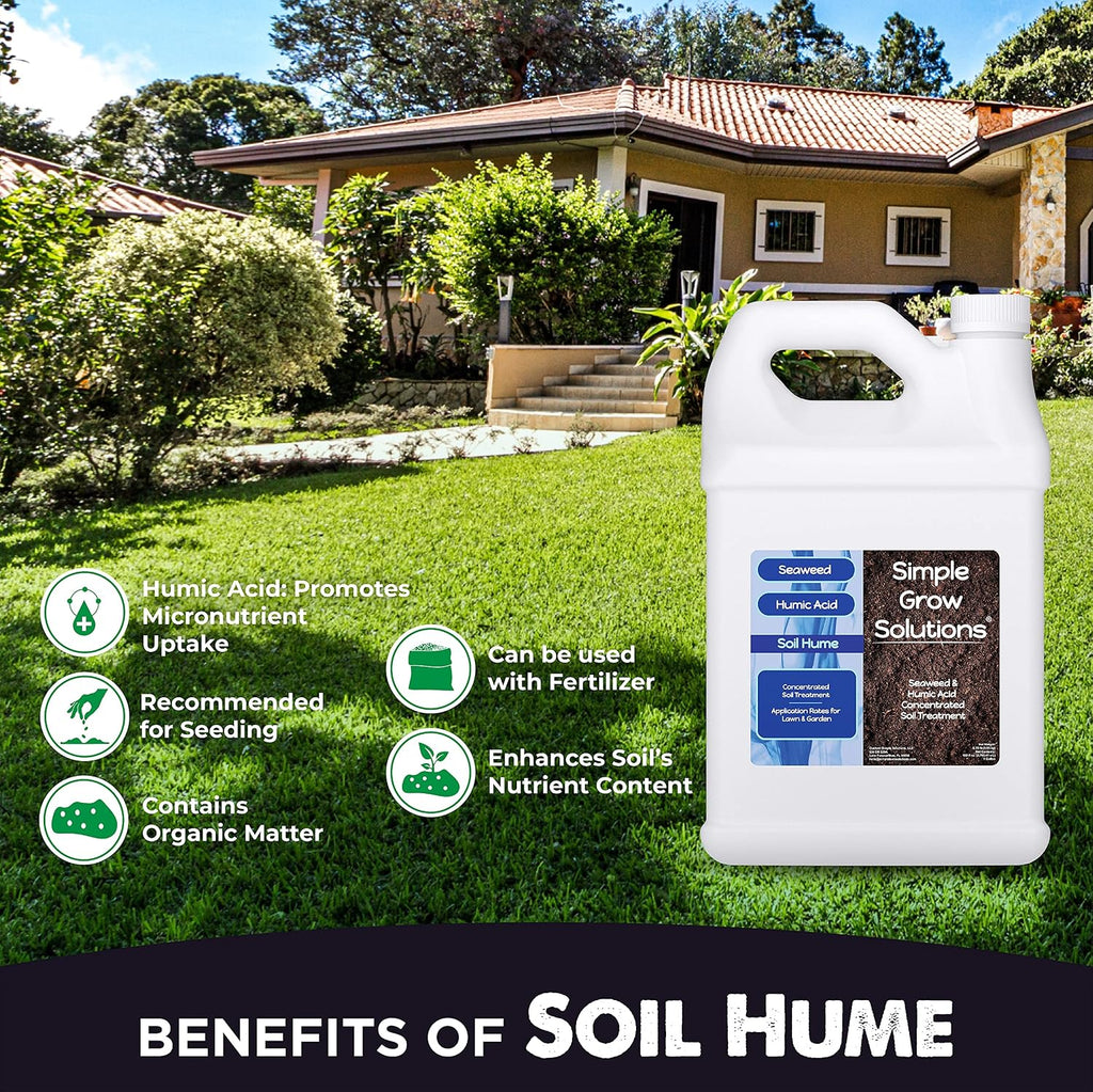 Simple Lawn Solutions - Ryan Knorr - Gallon Bundle- Lawn Essentials Bundle Box - 3 x 1 Gallon Set - Lawn Food 16-4-8