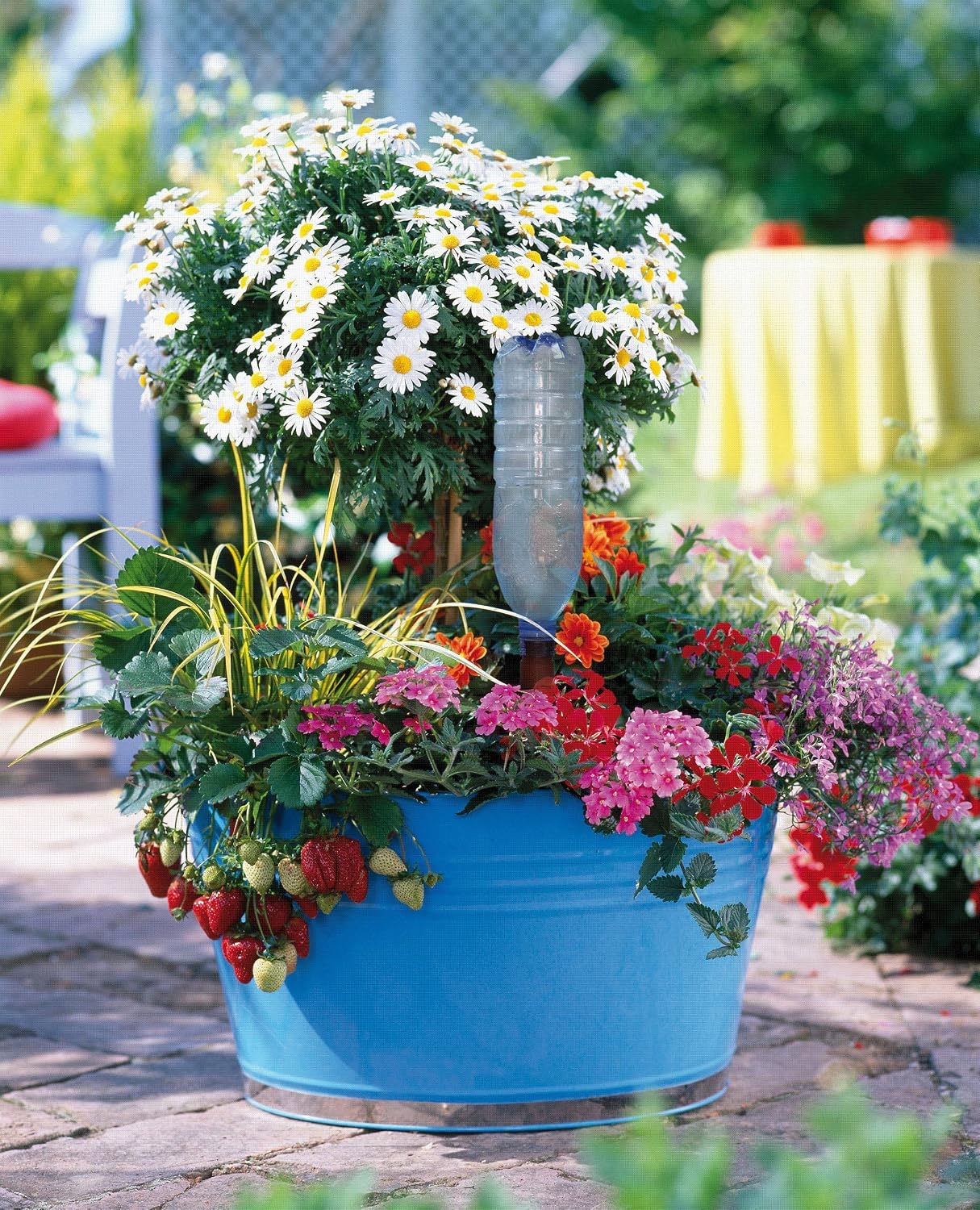 Blumat Plant Watering Device - Easy XL Self Watering Planter Insert for Indoor Plants - Bottle Adapter - Prevents