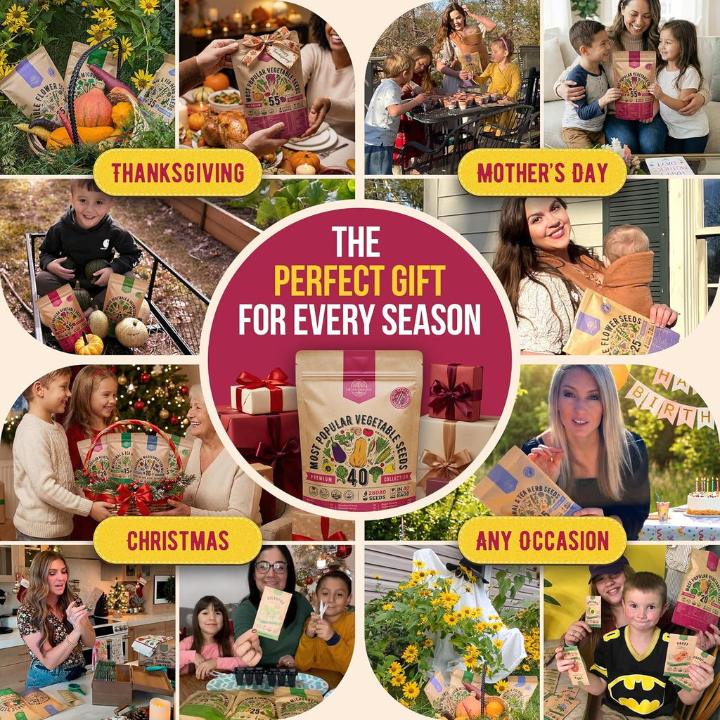 40 Vegetable Seeds Variety Pack - 26000 Non GMO Heirloom Seeds for Planting Vegetables & Fruits in Bulk Individual Seed