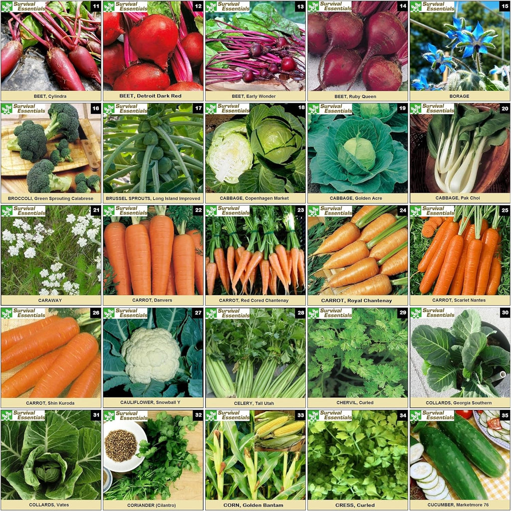 Heirloom Seeds for Planting Vegetables and Fruits - Survival Essentials 135 Variety Seed Vault - Medicinal Herb Seeds