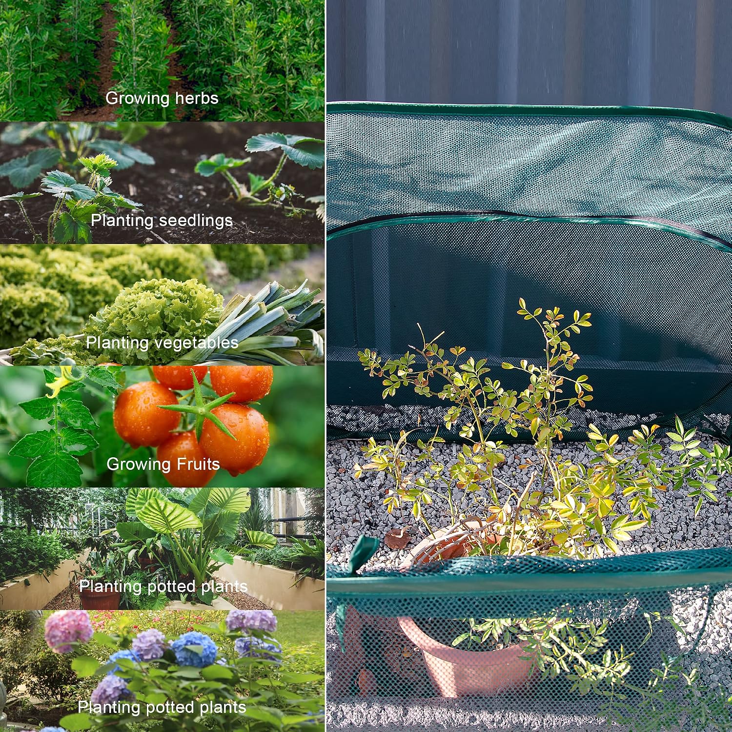 ANC POP Pop Up Mesh Plant Cover,40'' x 40'' x 30'' Plant Protector for Raised Garden & Flower Bed, Net Cage Plant Guard