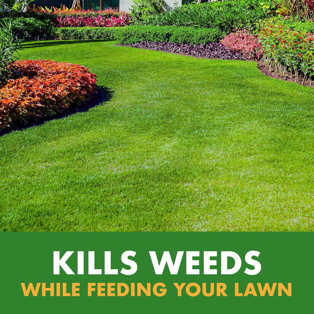 Spectracide Weed & Feed 20-0-0, Dual Action Formula 32 Oz, 3 Pack | Kills Weeds & Feeds Lawn, Kills Dandelion