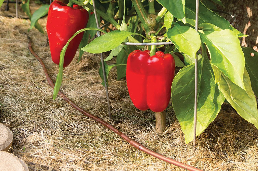 Rain Bird GARDENKIT Drip Irrigation Kit