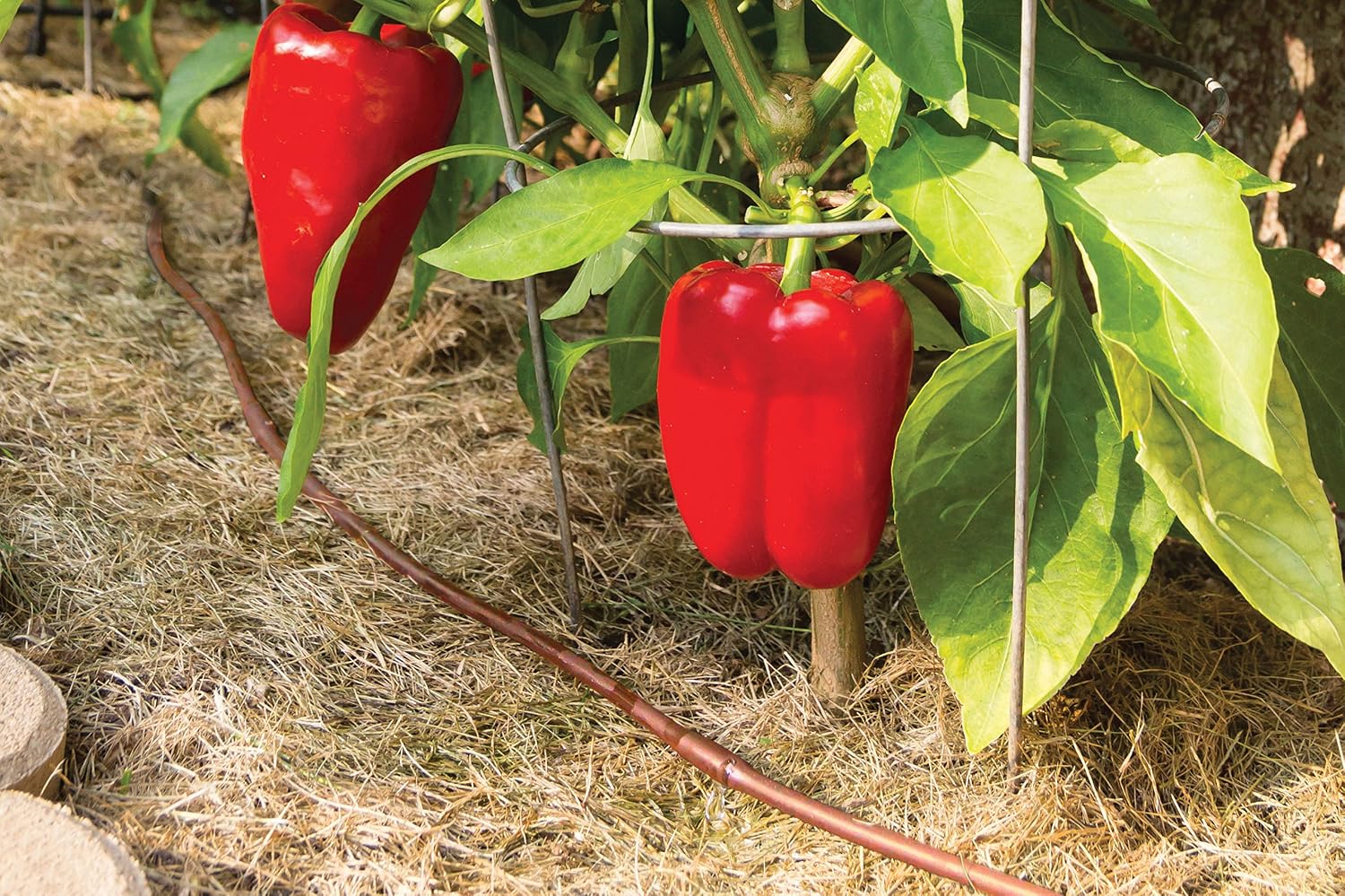 Rain Bird GARDENKIT Drip Irrigation Kit