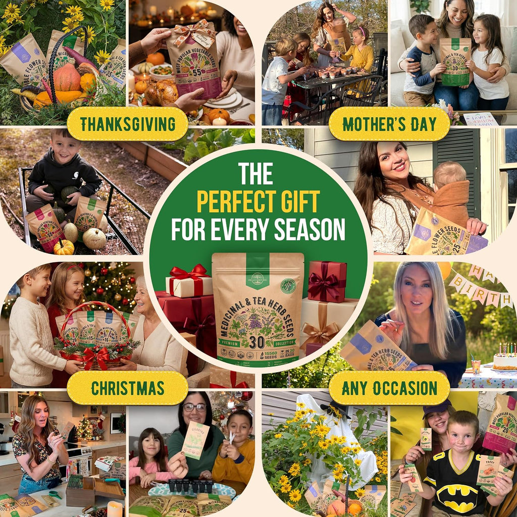 30 Medicinal & Tea Herb Seeds Variety Pack 15,560+ Non-GMO Heirloom Garden Seeds for Indoor & Outdoors, Including