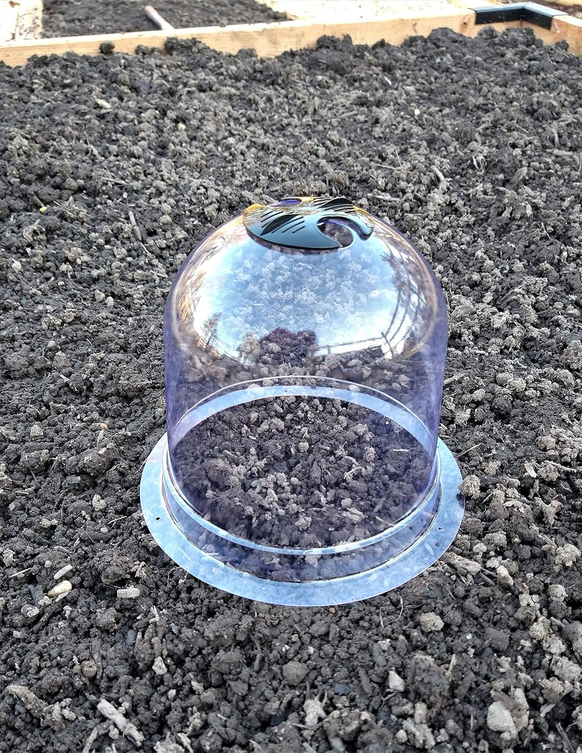6-Pack! GrowAway Small Reusable Plastic Mini Greenhouse, Garden Cloche Dome, Plant Covers Frost Guard Freeze Protection