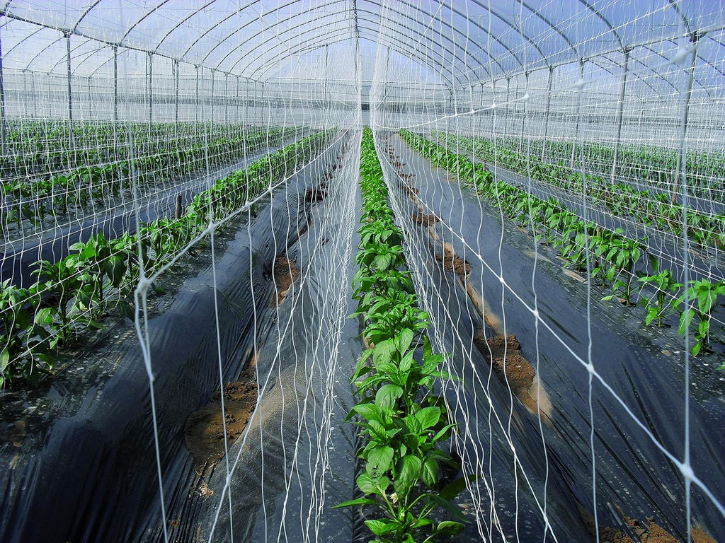 TENAX Hortonova Trellis 6.5x100 White Net