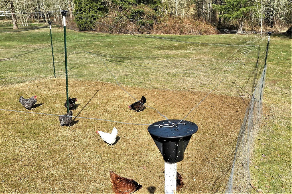 Bird Netting Post caps Madbird (5 Pack) for Bird-X, Birdbgone, Birdblock for Protecting Chickens, Blueberries.