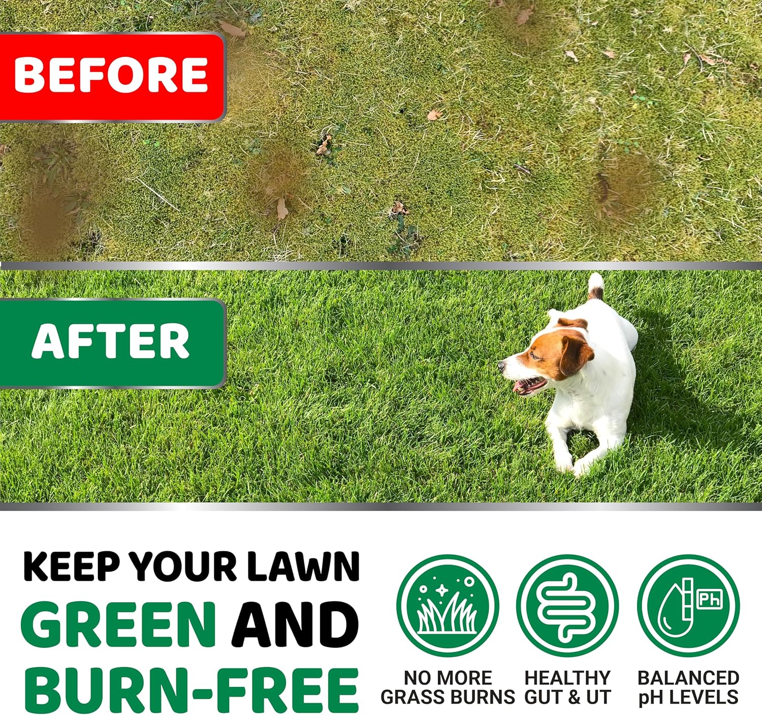 YUMA'S Dog Urine Neutralizer for Lawn - 170 Chews - Advanced Grass Green Savers for Dog Urine - Canine Pee Grass