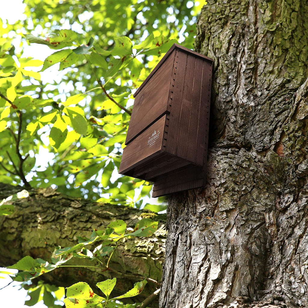 Bat House for Outdoors, Japanese Cedar, 3 Chamber, Brown | Premium Japanese cedar bat house in brown; three grooved
