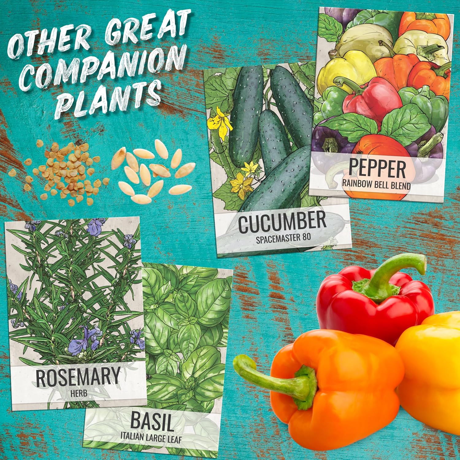 Seed Needs Tiny Tim Dwarf Tomato Seeds to Plant Heirloom Non-GMO 10 Pack