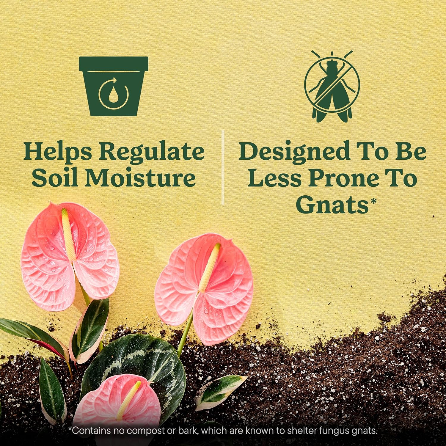 Gro Indoor Potting Mix for All Plants, 16 qt. (2-Pack) | Use with Houseplants and More, Feeds for up to 6 Months