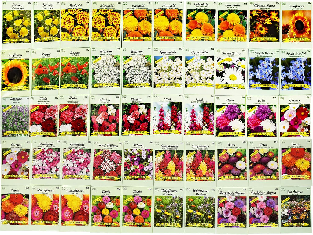 Set of 50 Assorted Flower Seed Packets! Flower Seeds in Bulk - 10+ Varieties Available!