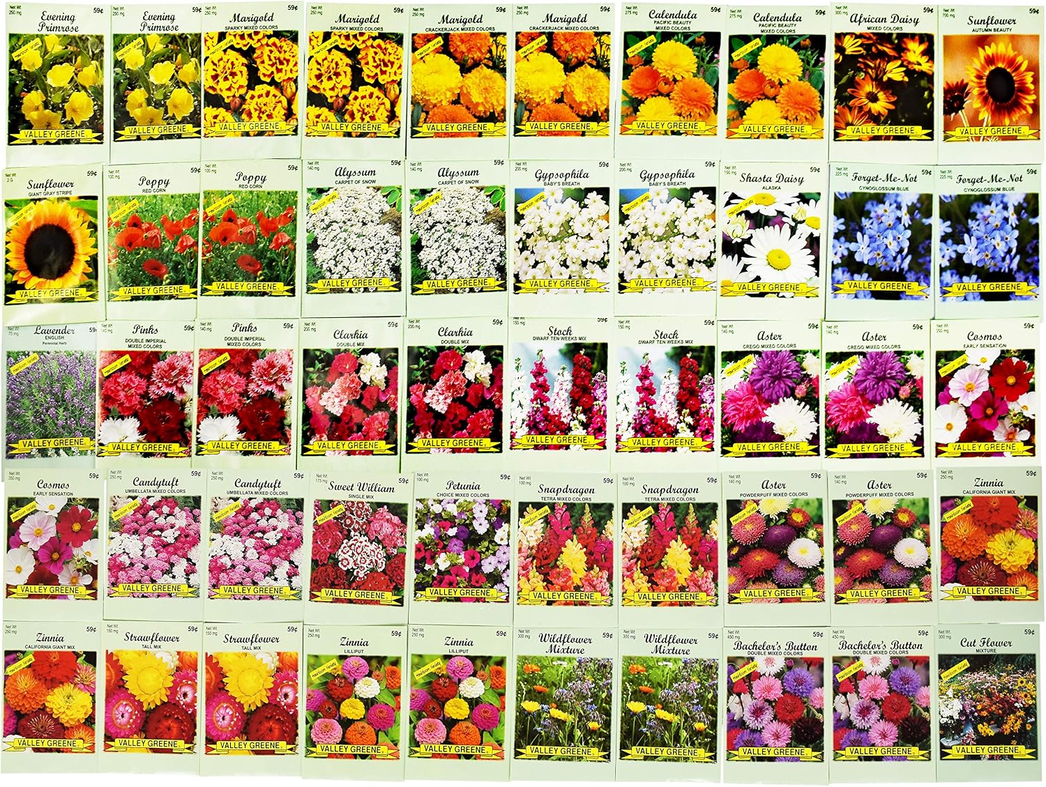 Set of 50 Assorted Flower Seed Packets! Flower Seeds in Bulk - 10+ Varieties Available!