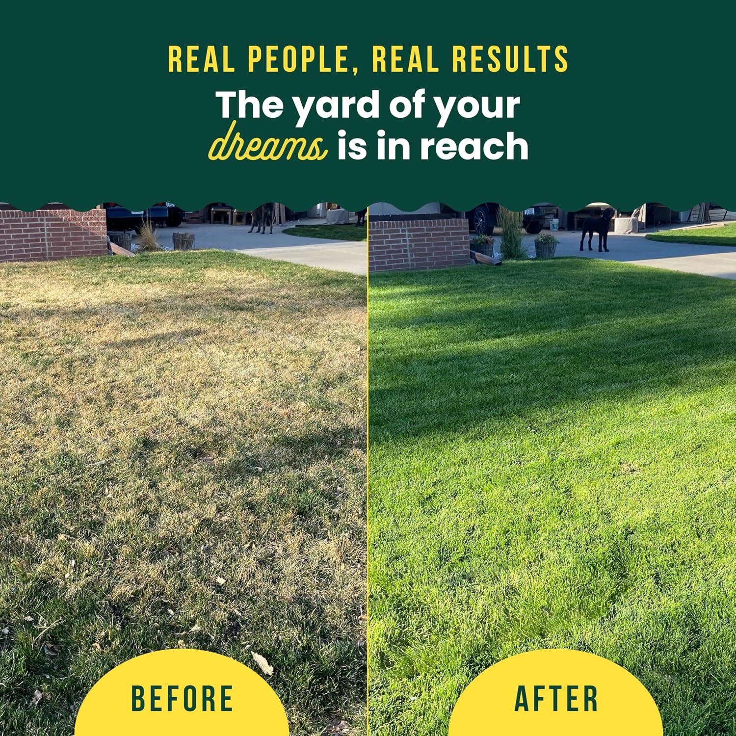 Sunday Green Machine Liquid Lawn Fertilizer, 2 Pack, Covers 10,000 Sq Ft | Nitrogen, Seaweed, Iron & Potassium in a