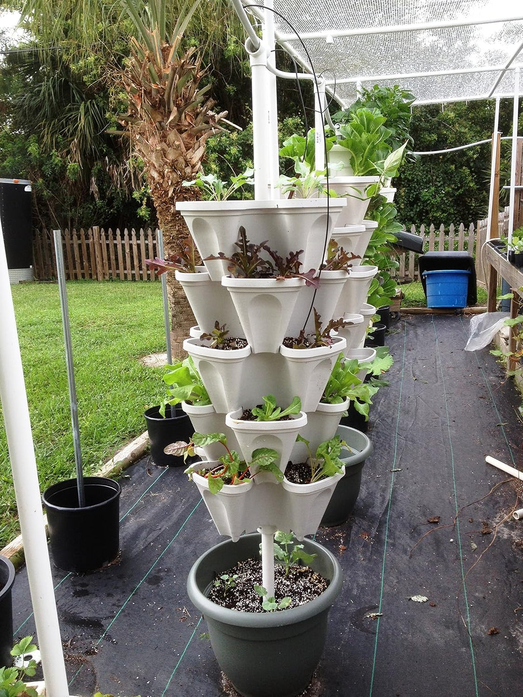 Large 64 Quart - Stackable Planter 5-Pack - Stone Color - Grow More in Less Space - DIY Vertical Gardening System - for