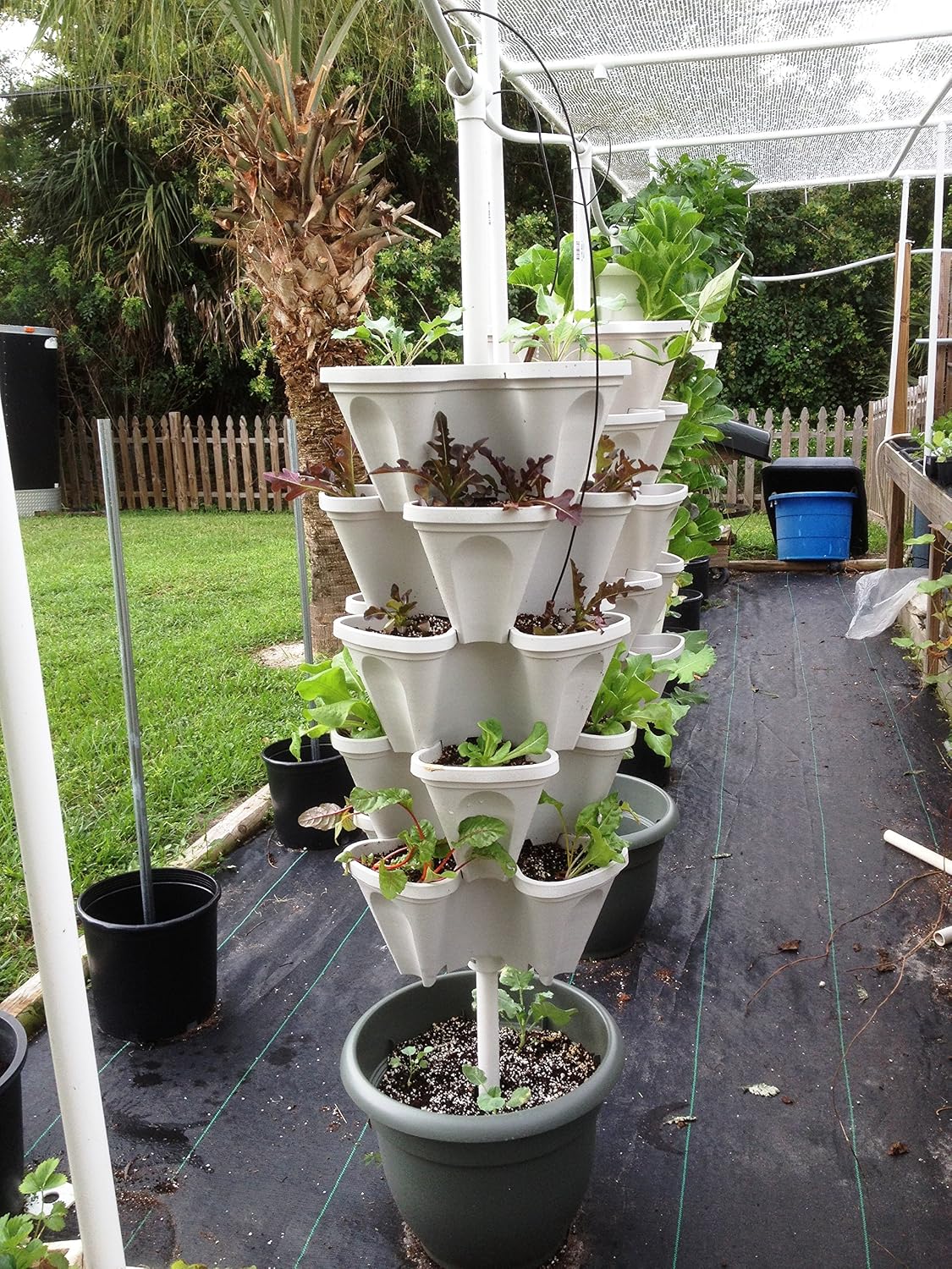 Large 64 Quart - Stackable Planter 5-Pack - Stone Color - Grow More in Less Space - DIY Vertical Gardening System - for