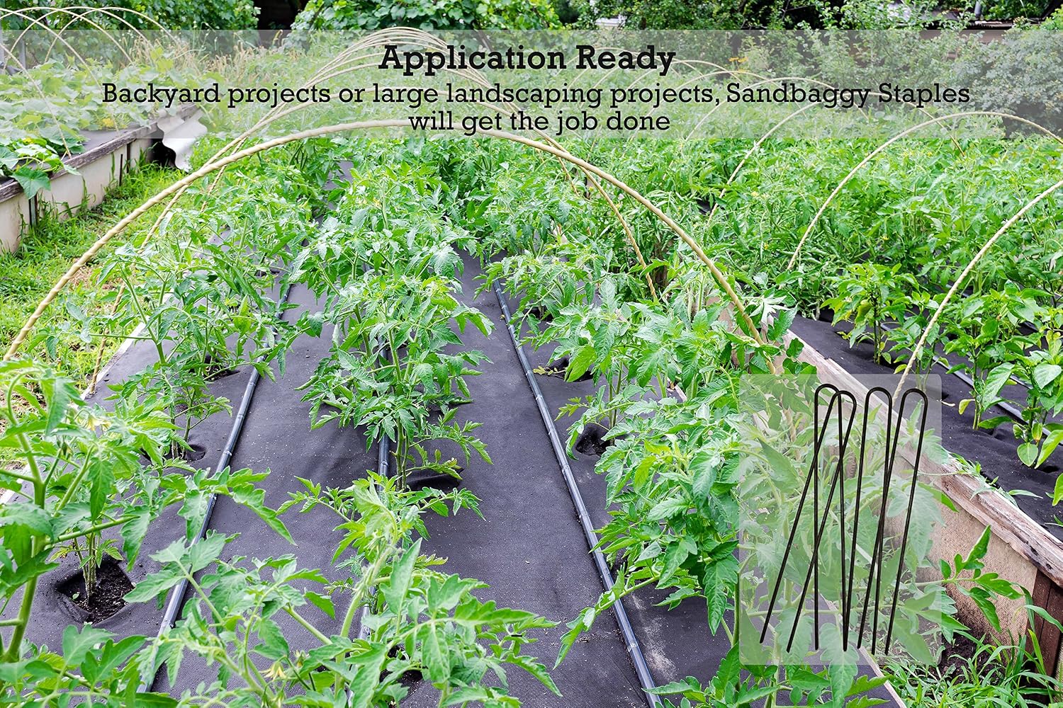 Sandbaggy 12-inch 8-Gauge Landscape Staples ~ The Longest & Strongest Landscaping Staple on Amazon (100 Staples)