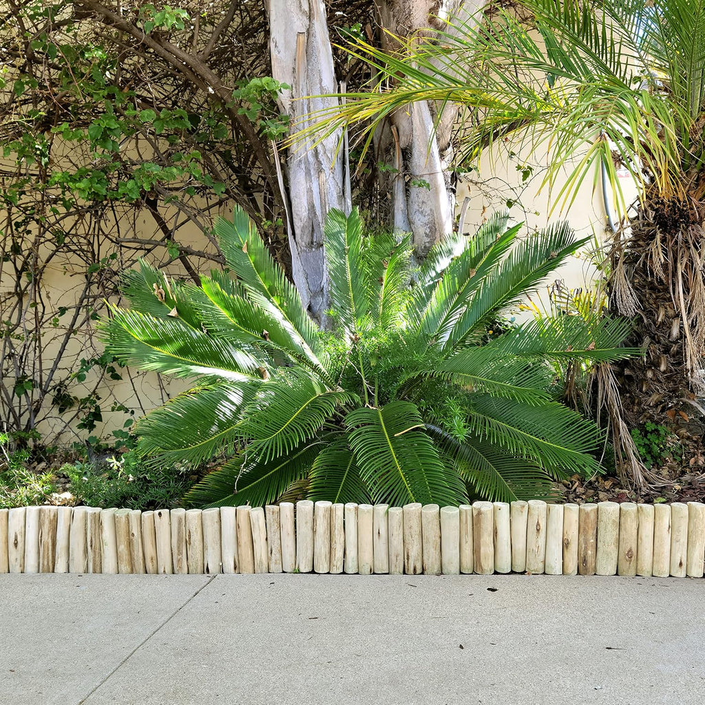 FOREVER BAMBOO Natural Eucalyptus Wood Solid Log for Garden Edging Lawn Landscape Fence Borders 72 in L x 6 in H x 1.25