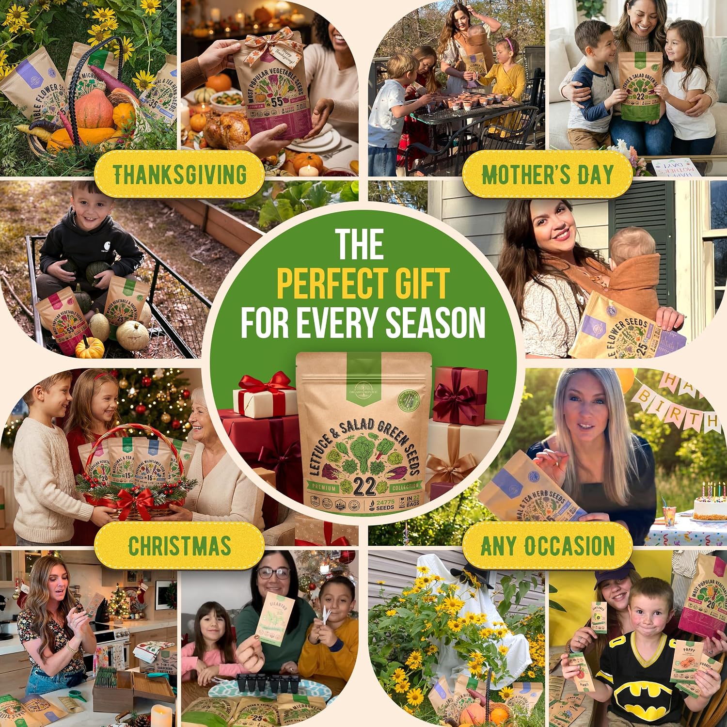 22 Lettuce & Salad Greens Seeds Variety Pack 24,700+ Non-GMO Heirloom Lettuce Seeds for Indoor & Outdoor Garden