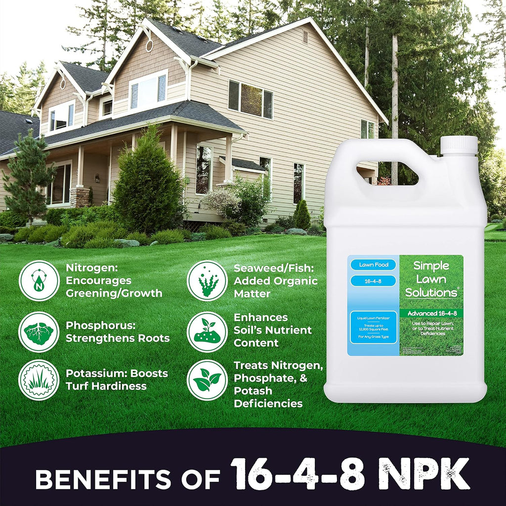 Simple Lawn Solutions - Ryan Knorr - Gallon Bundle- Lawn Essentials Bundle Box - 3 x 1 Gallon Set - Lawn Food 16-4-8