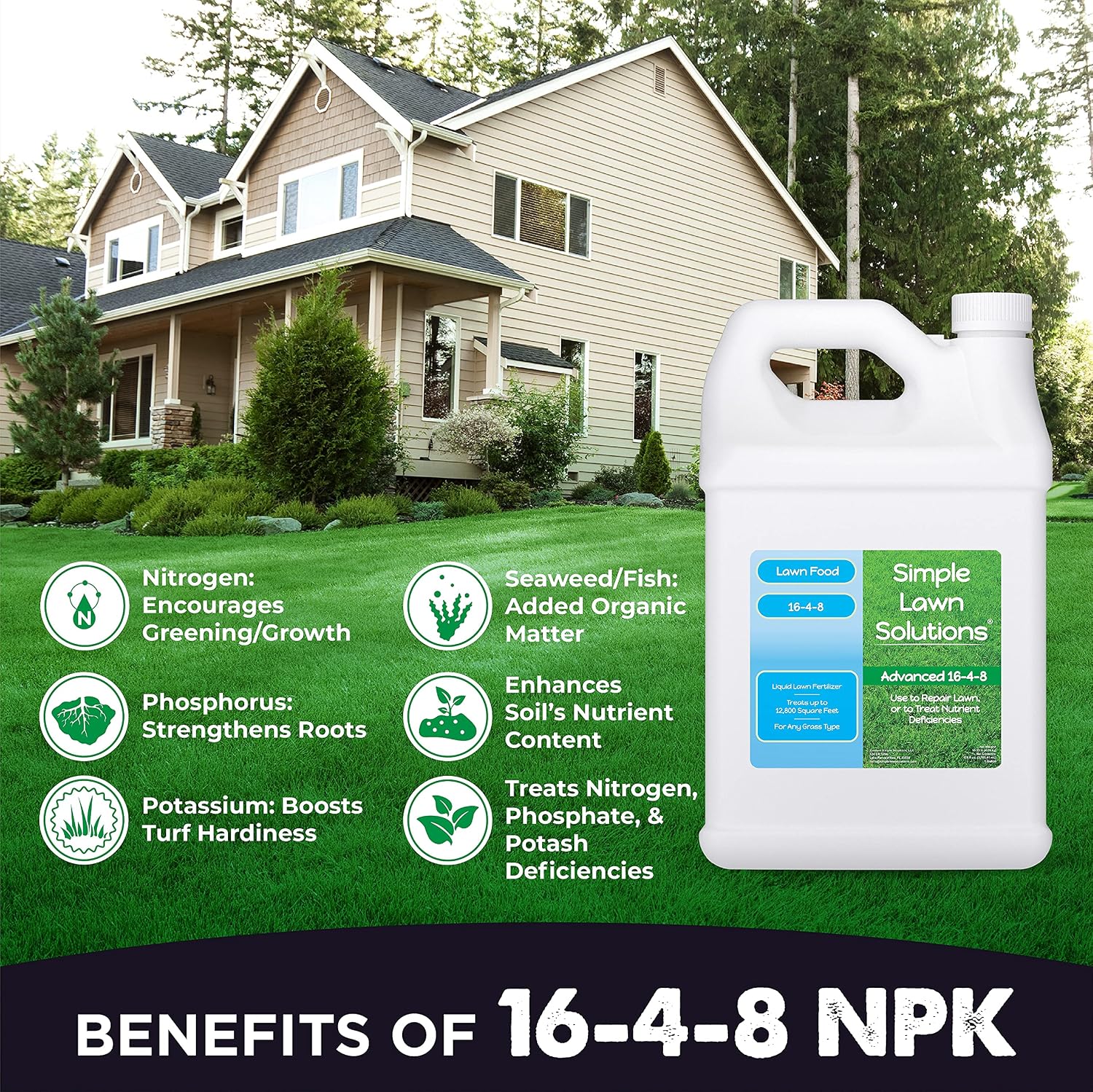 Simple Lawn Solutions - Ryan Knorr - Gallon Bundle- Lawn Essentials Bundle Box - 3 x 1 Gallon Set - Lawn Food 16-4-8