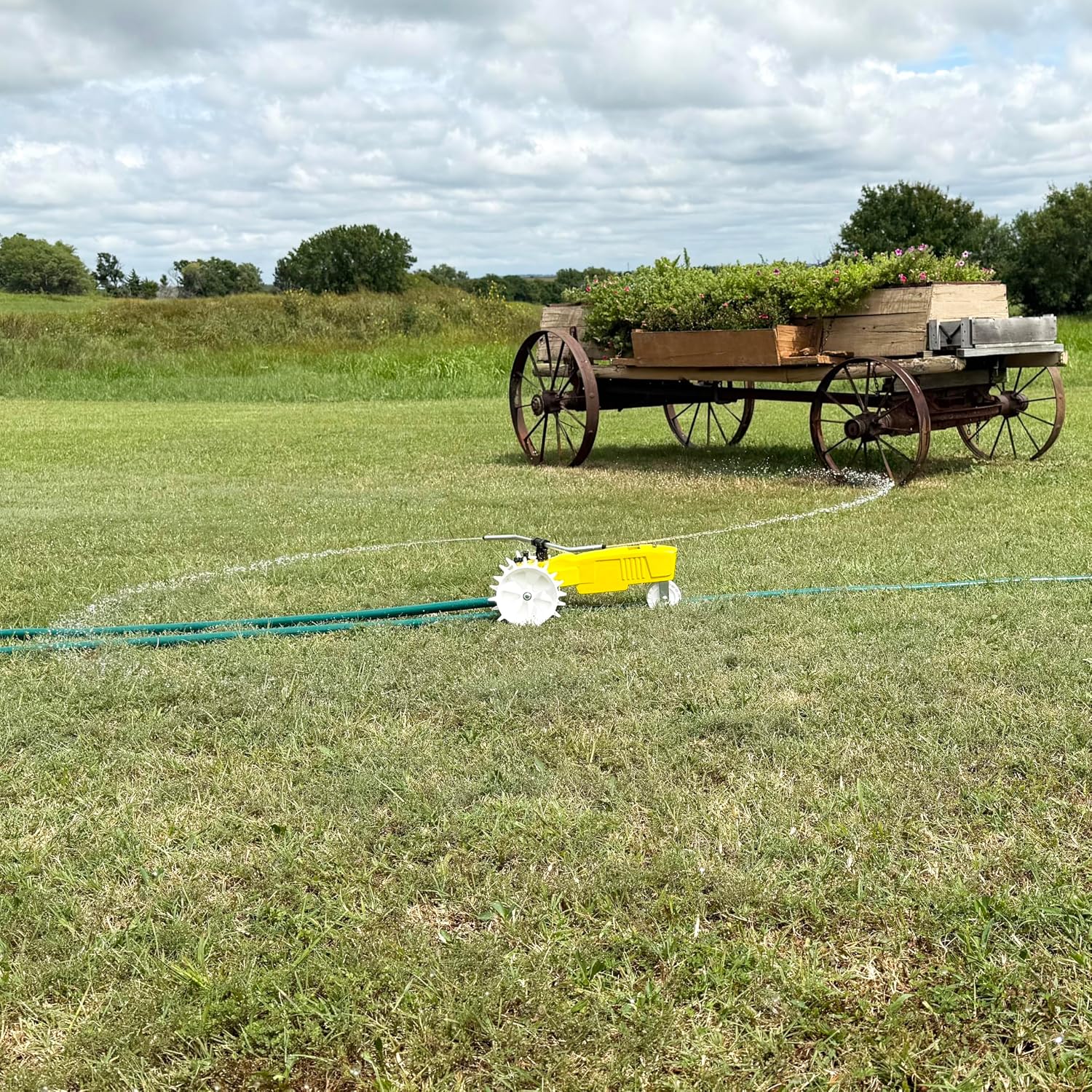 Nelson Rain Train 13,500 Square Feet Cast Iron Outdoor Lawn Traveling Water Sprinkler for Yard, and Garden, with Auto
