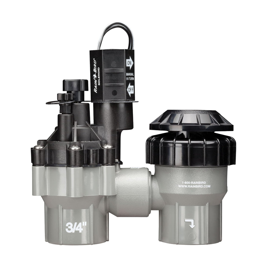 Rain Bird DASASVF075 Professional Anti-Siphon Valve, 3/4"