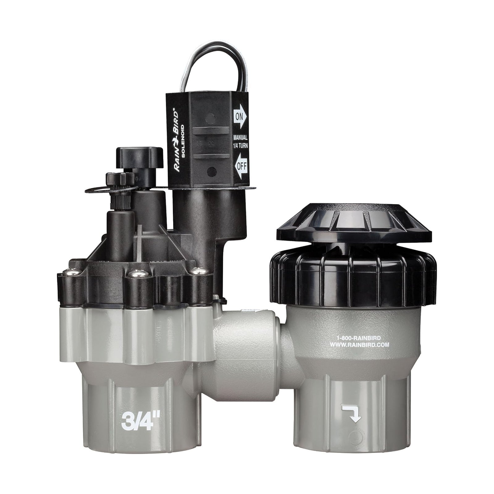 Rain Bird DASASVF075 Professional Anti-Siphon Valve, 3/4"